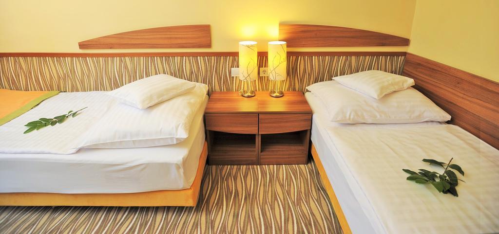 Park Hotel Гюла Стая снимка